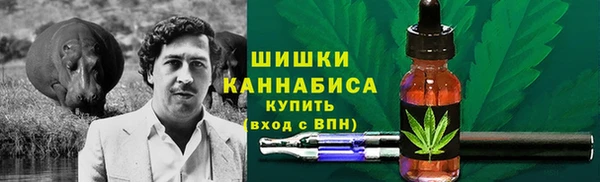 стаф Верхний Тагил