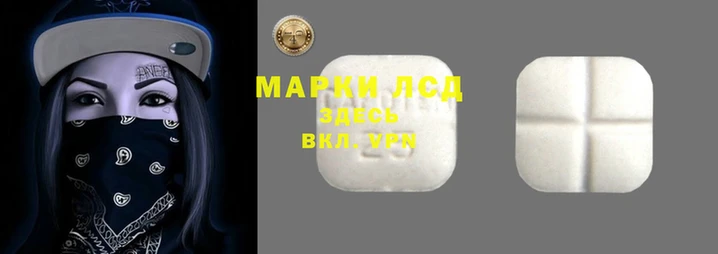 шишки Волосово
