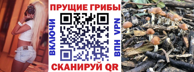 наркота  Мезень  Галлюциногенные грибы ЛСД 